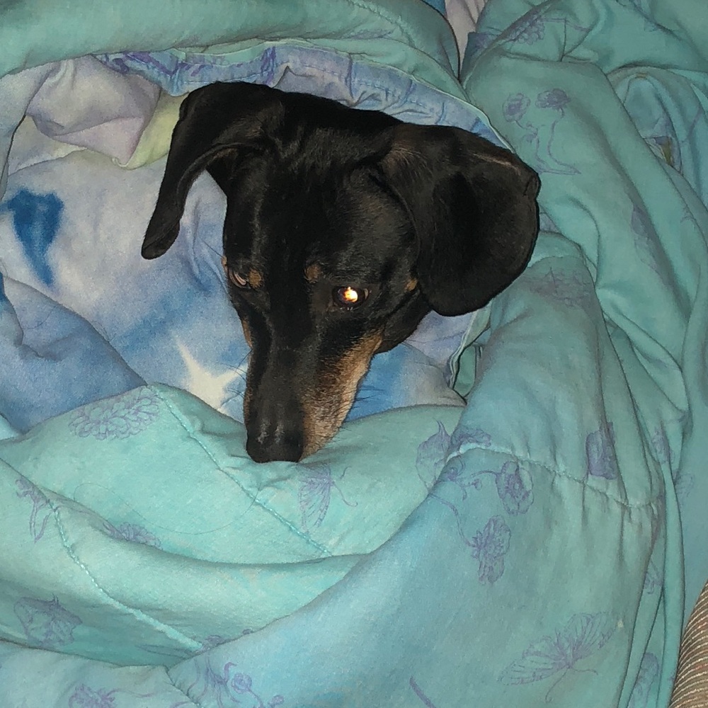 Meet your Posher, Cole